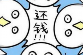 错那专业催债公司的市场需求和前景分析